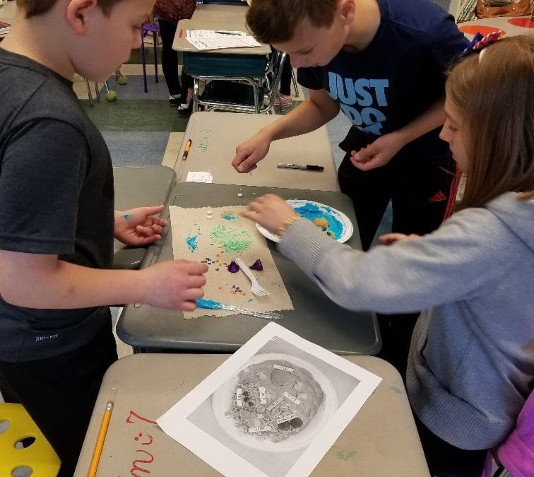 students working on project