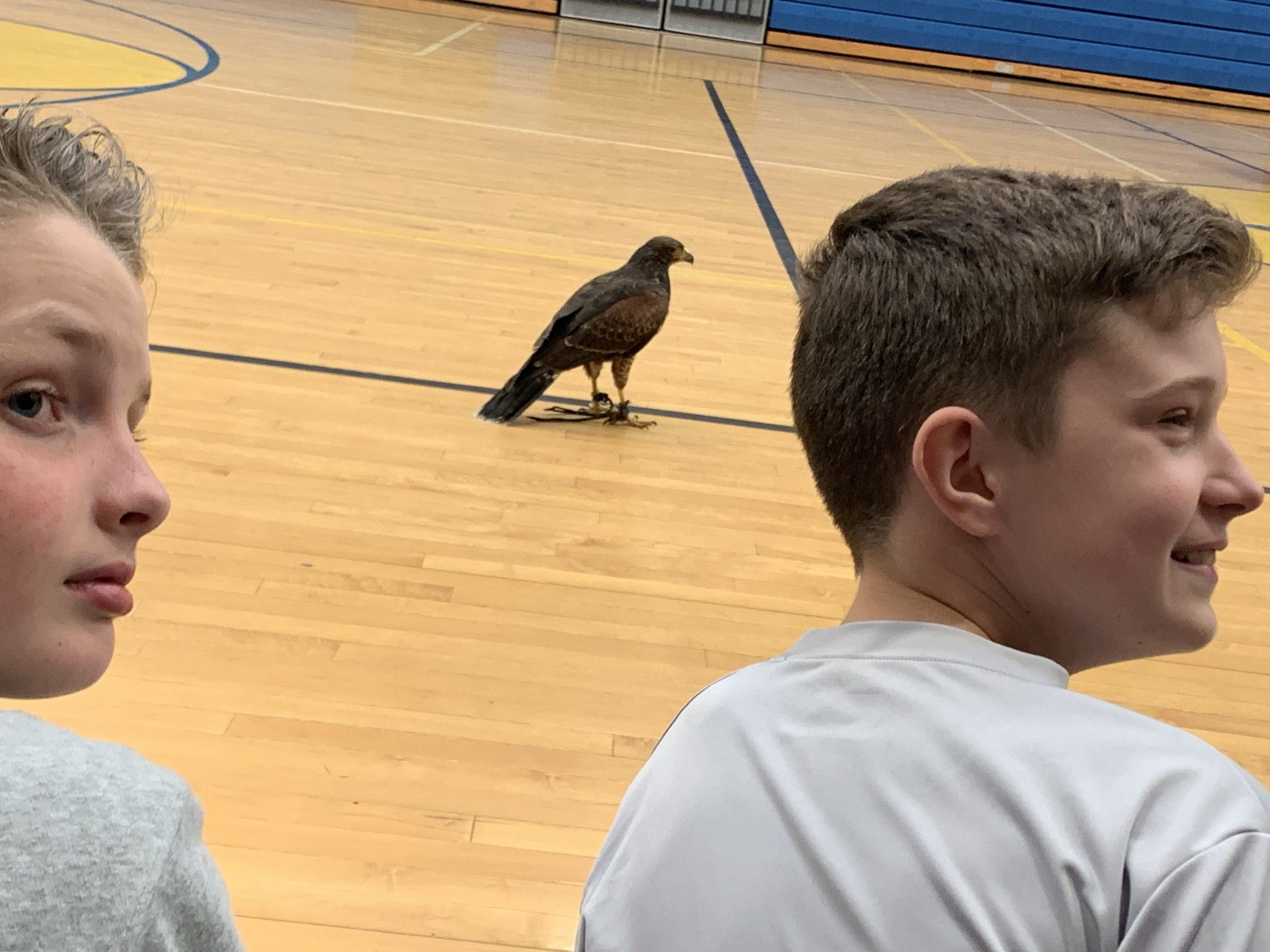 students and bird