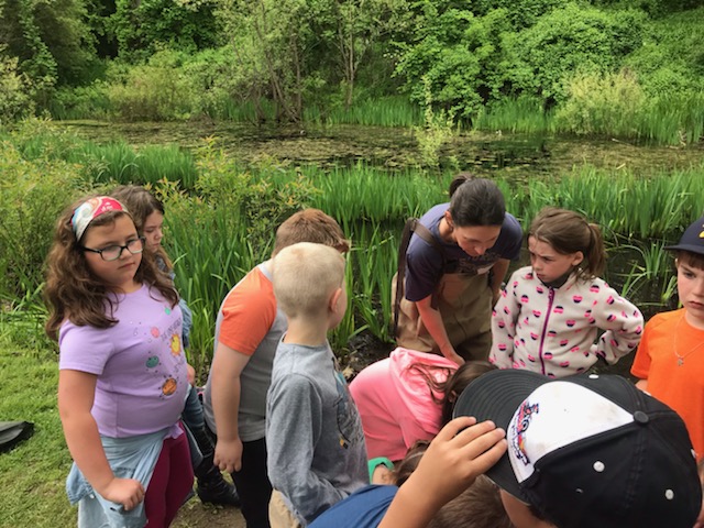 students at wetlands