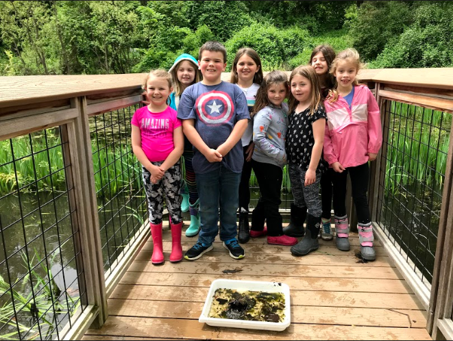 2nd Graders Learn About Wetlands and 5 Senses