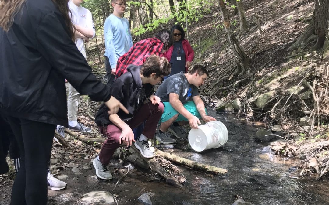 releasing trout