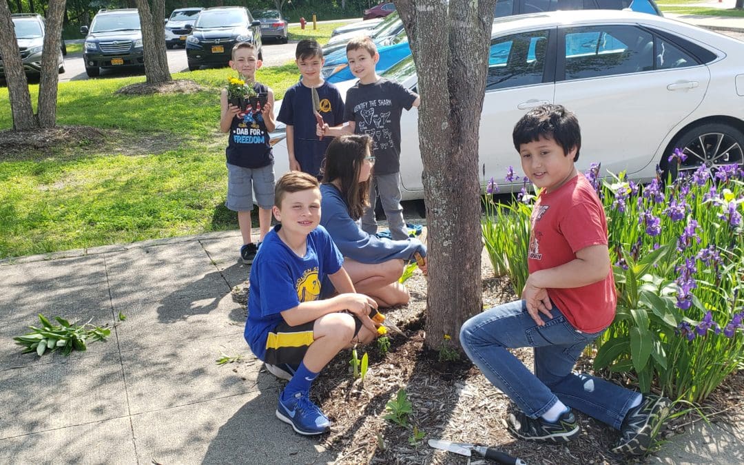 students planting