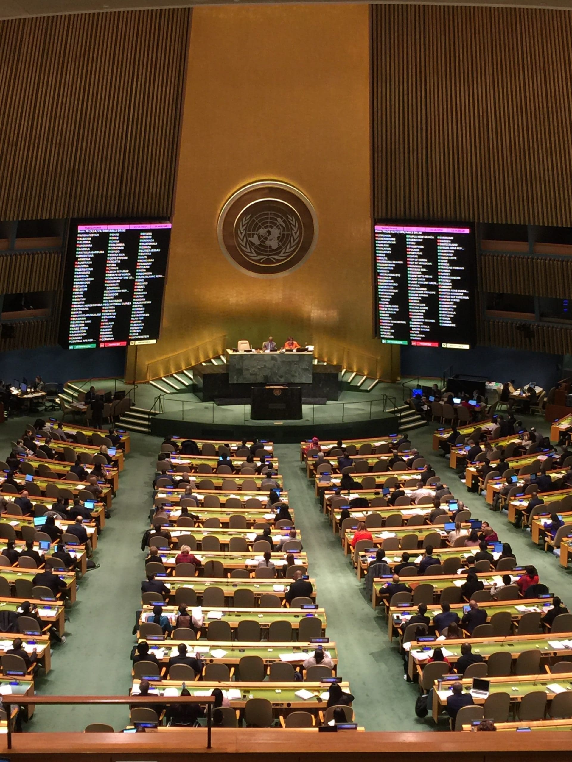 students in united nations
