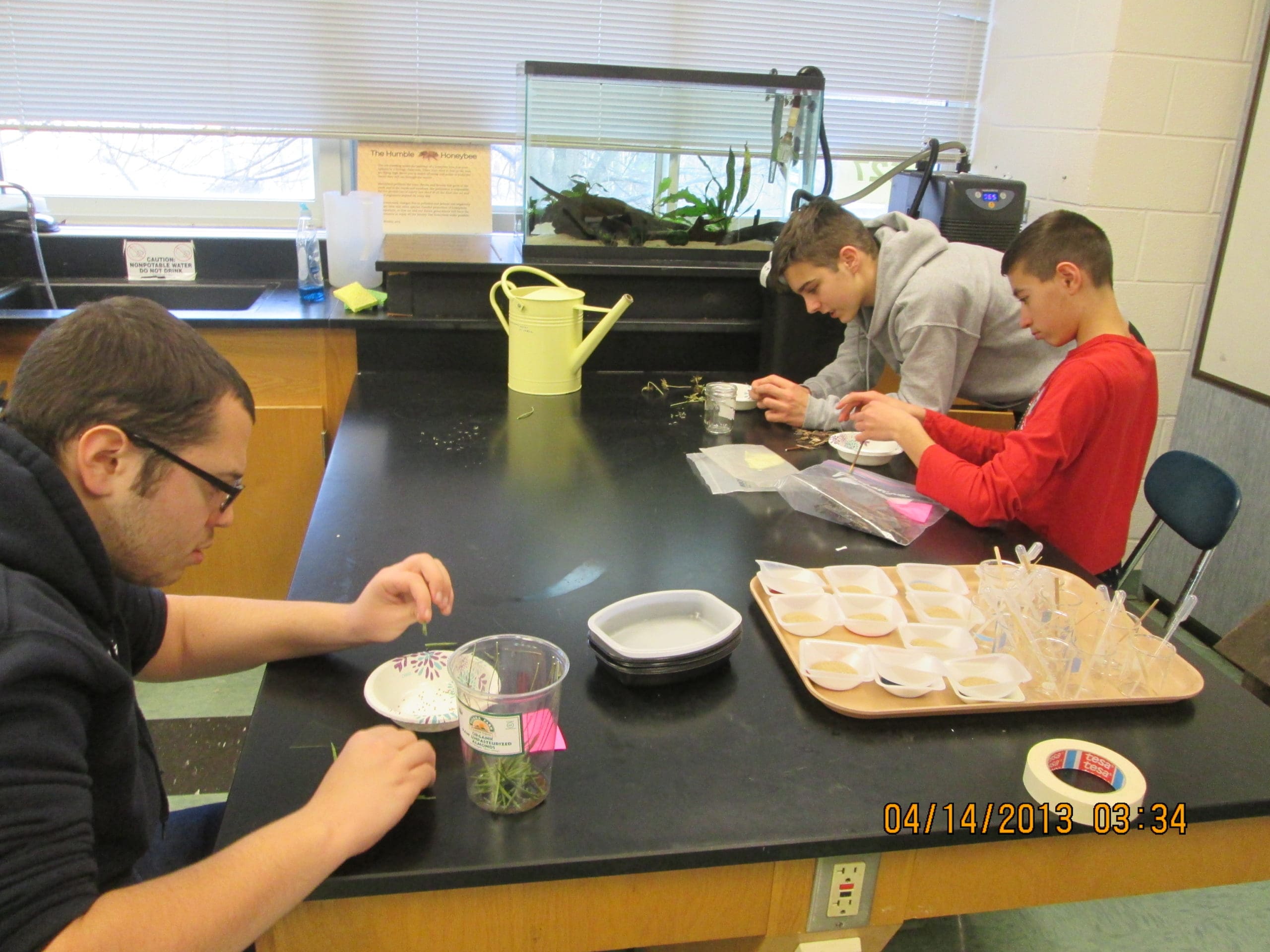 students separating seeds