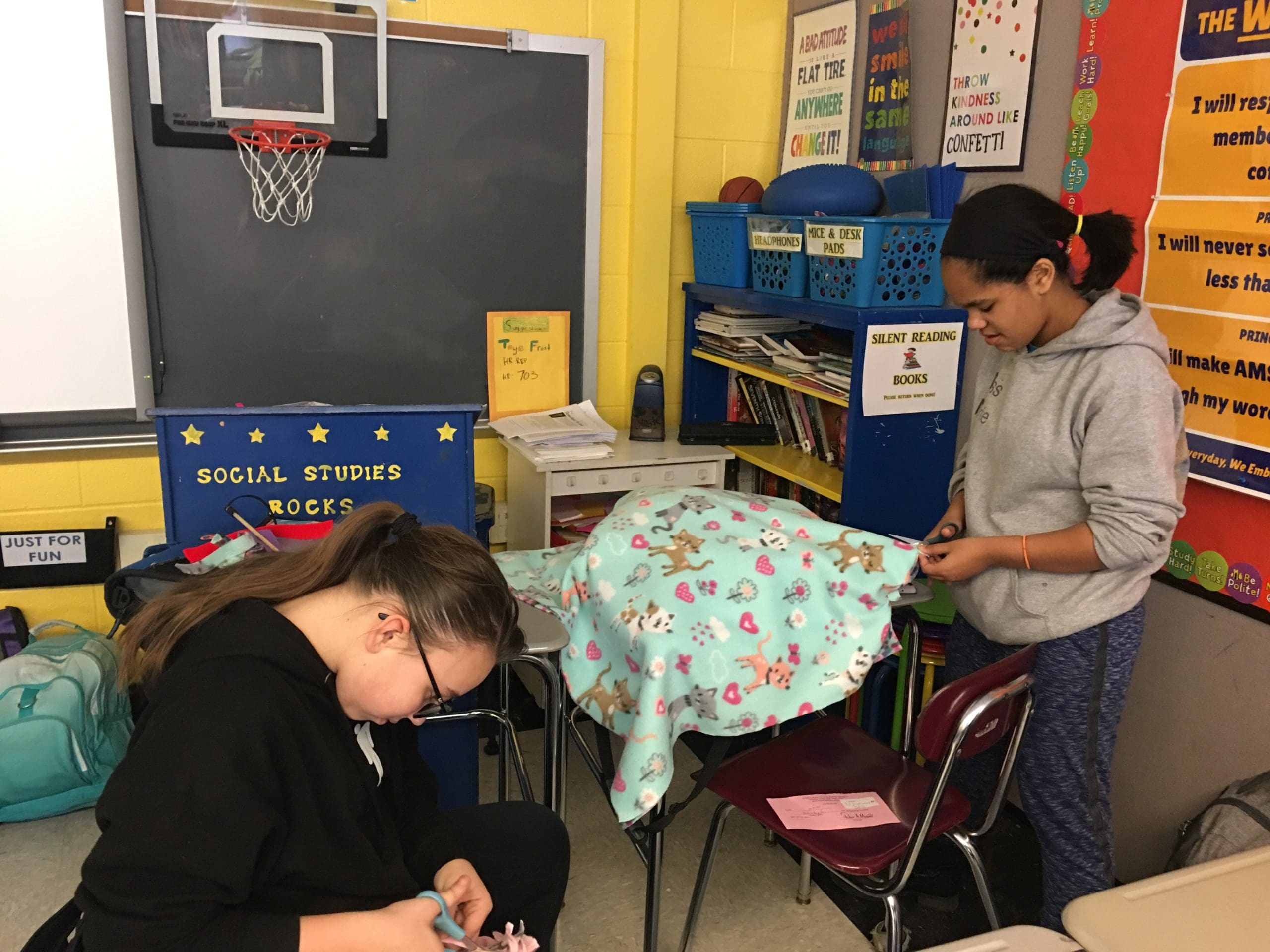 students make dog and cat toys