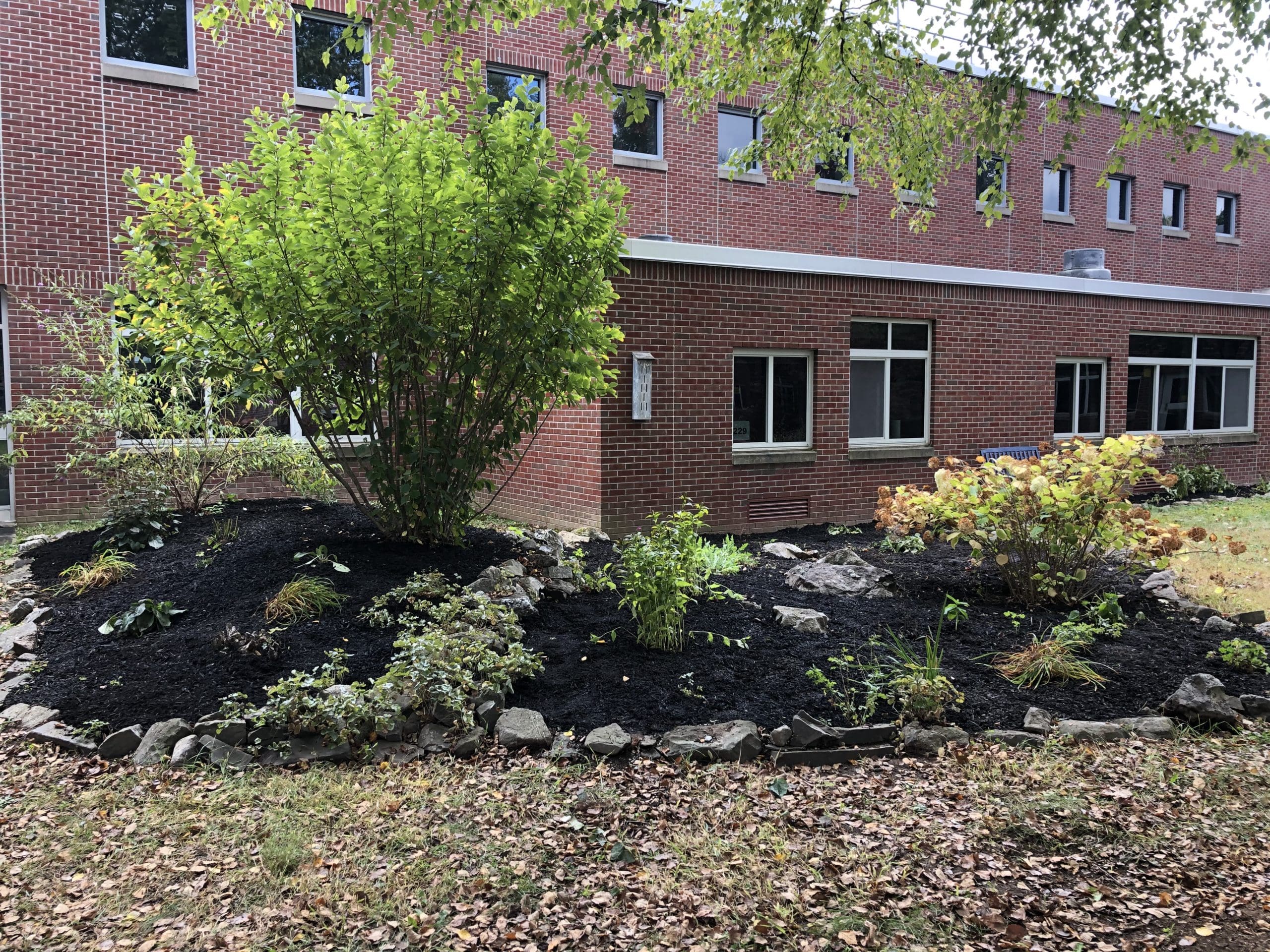 garden