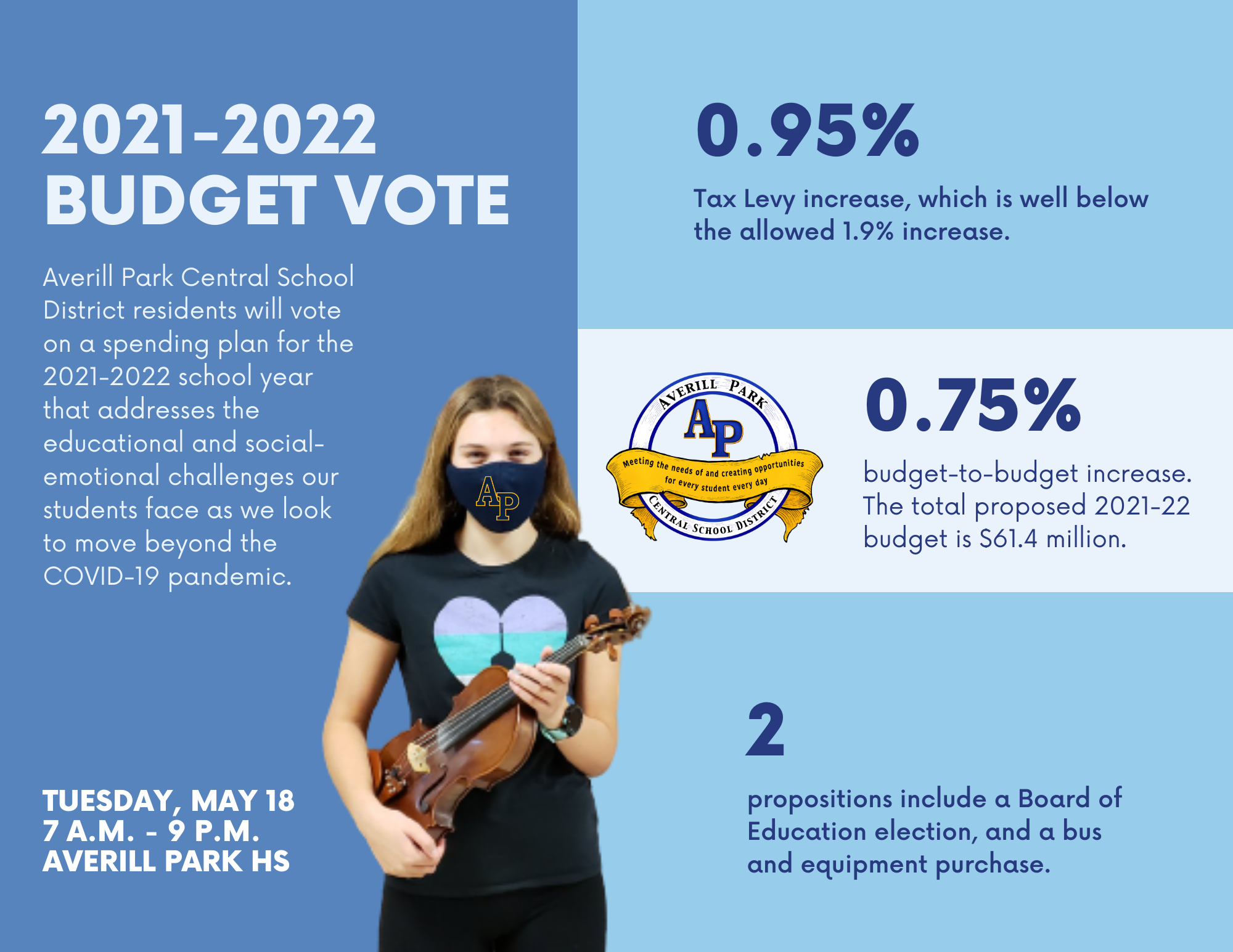Budget Vote Infographic