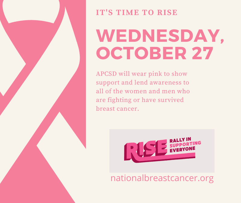 Pink White Breast Cancer Statistics Awareness
