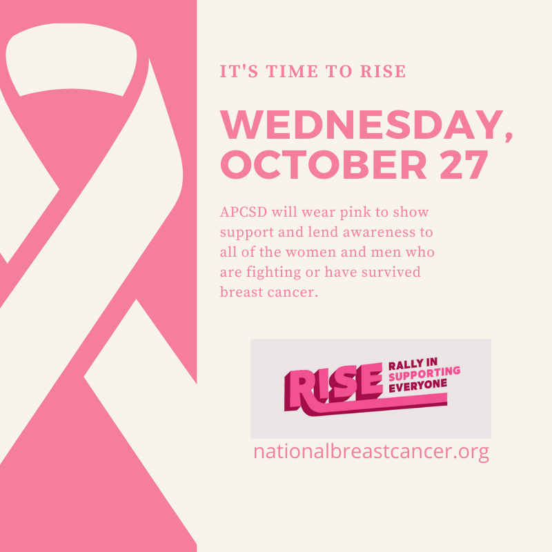 Pink White Breast Cancer Statistics Awareness