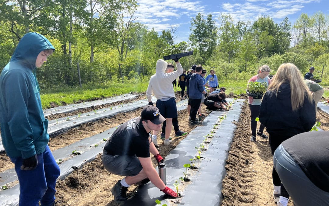 students working on the farm