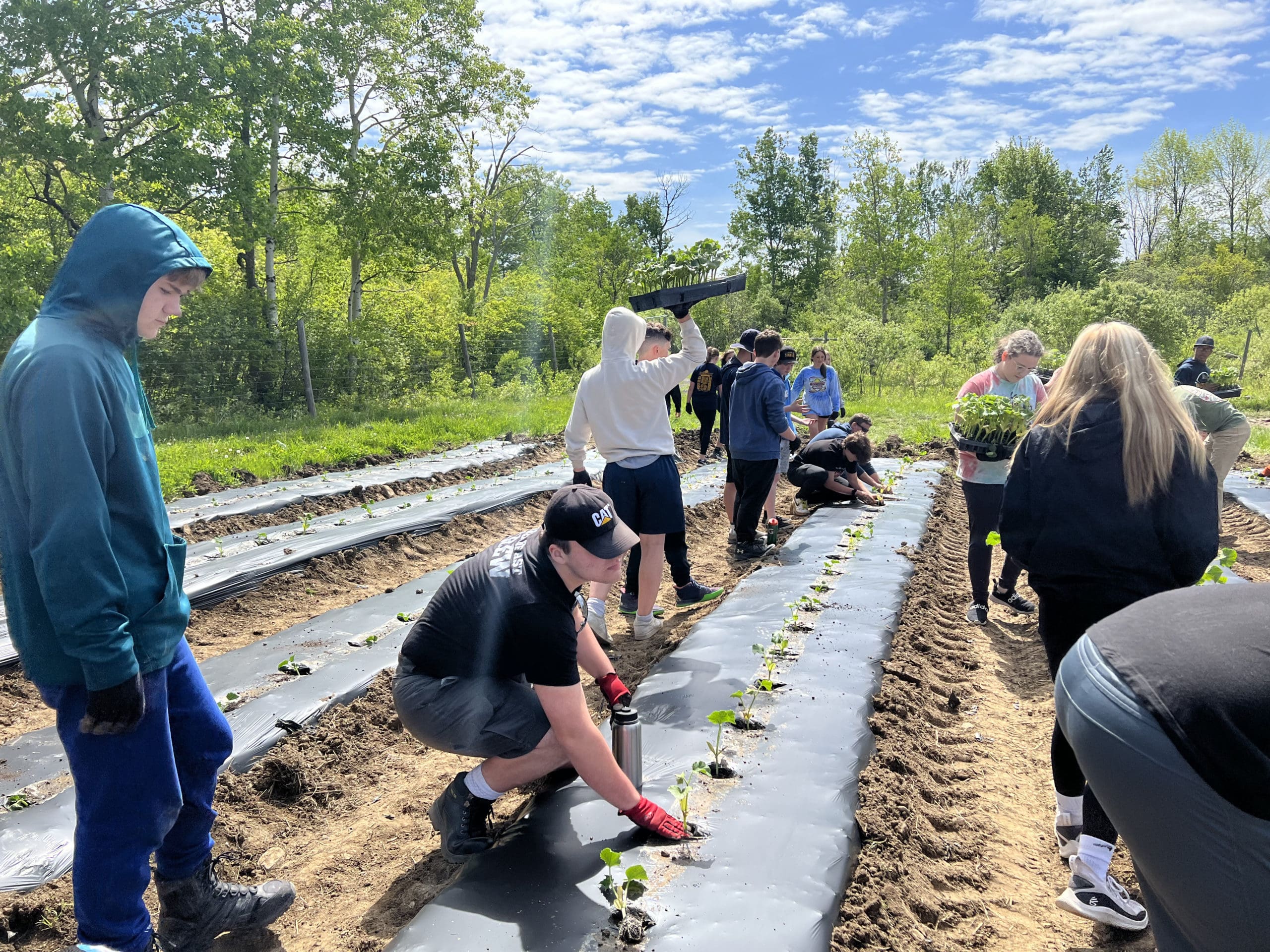 students working on the farm